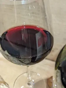 Wein-Tasting Finca Las Moras »DADÁ No. 1« 2022 3