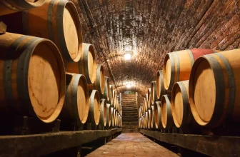 Napa Valley – Landschaft oder Luxusfabrik?