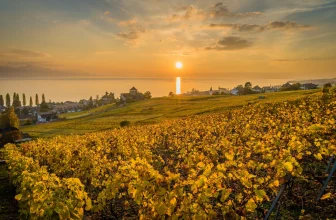 Douro – wildromantisches Weltkulturerbe oder cleveres Geschäftsmodell im Schiefergestein?