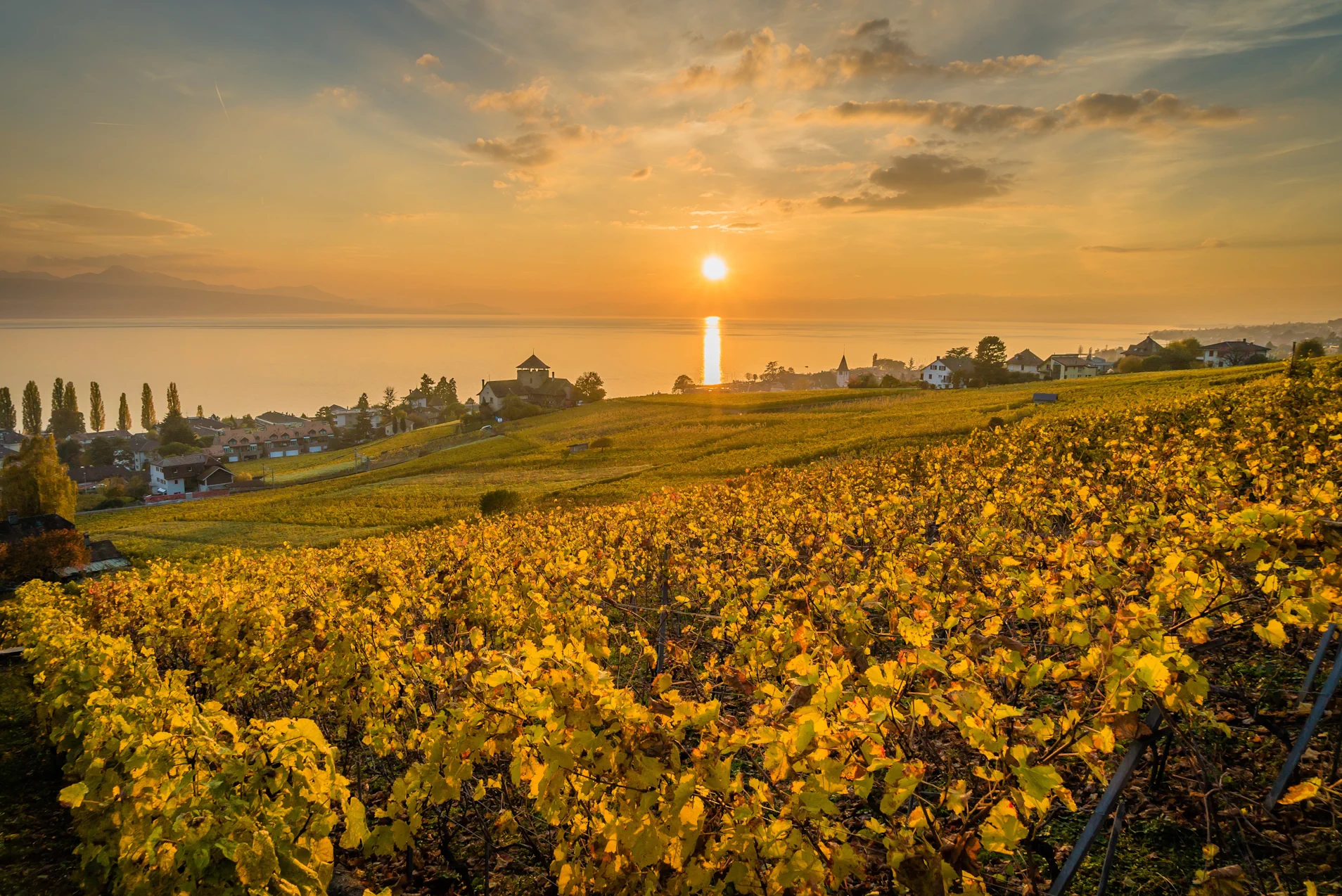 Douro – wildromantisches Weltkulturerbe oder cleveres Geschäftsmodell im Schiefergestein? Douro – wildromantisches Weltkulturerbe oder cleveres Geschäftsmodell im Schiefergestein?
