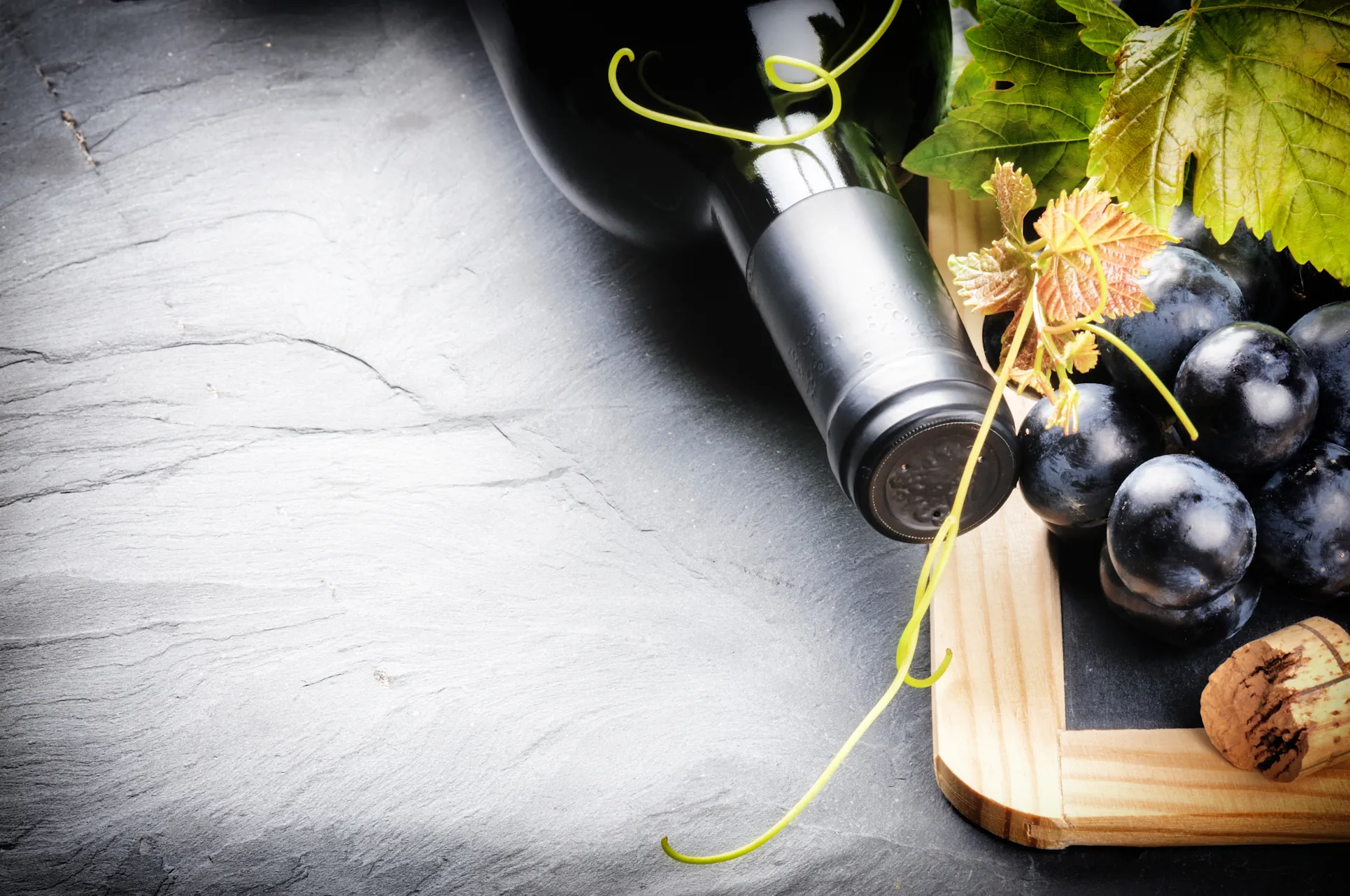 Grenache: Der mediterrane Charmeur – Verführer oder Blender im Sonnenlicht? Grenache: Der mediterrane Charmeur – Verführer oder Blender im Sonnenlicht?