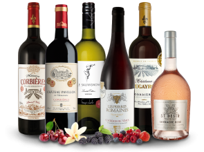 Bestseller-Paket Weine des Languedoc bei ebrosia