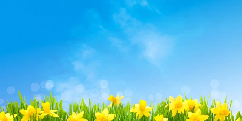 Osterzauber auf dem Tisch – Ein Fest für alle Sinne