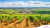 Das Weinland Frankreich