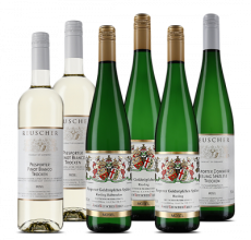 Mosel 6er-Probierpaket Weißwein 2020, Josef Reuscher & Erben – 4.5 L – Reuscher bei VINZERY