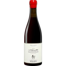 Daniel-Landi »Las uvas de la ira« Vino del Pueblo 2019  0.75L 14.5% Vol. Rotwein Trocken aus Spanien bei Wein & Vinos