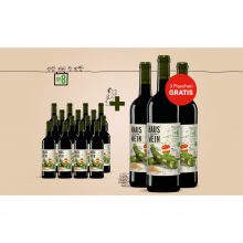 Hauswein Nr. 8 Tinto Bio  13.5L Trocken Weinpaket aus Spanien bei Wein & Vinos