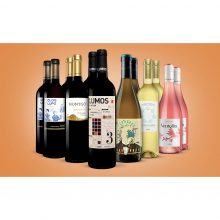 Spanien-Entdecker-Paket  9L Weinpaket aus Spanien bei Wein & Vinos