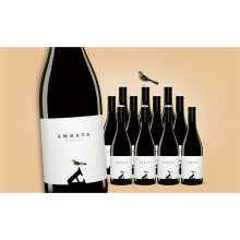 Ambata Mencía 2020  9L Trocken Weinpaket aus Spanien bei Wein & Vinos
