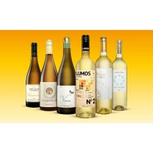 »Weisswein besser aus Spanien« Paket  4.5L Weinpaket aus Spanien bei Wein & Vinos