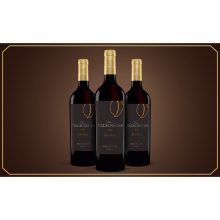 Finca Villacreces Reserva 2017  2.25L Trocken Weinpaket aus Spanien bei Wein & Vinos