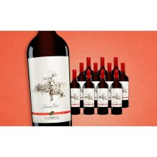 Juan Gil Selección »Bartolomé Abellán« 2021  7.5L Trocken Weinpaket aus Spanien bei Wein & Vinos