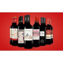 Topseller-Paket  9L Trocken Weinpaket aus Spanien bei Wein & Vinos